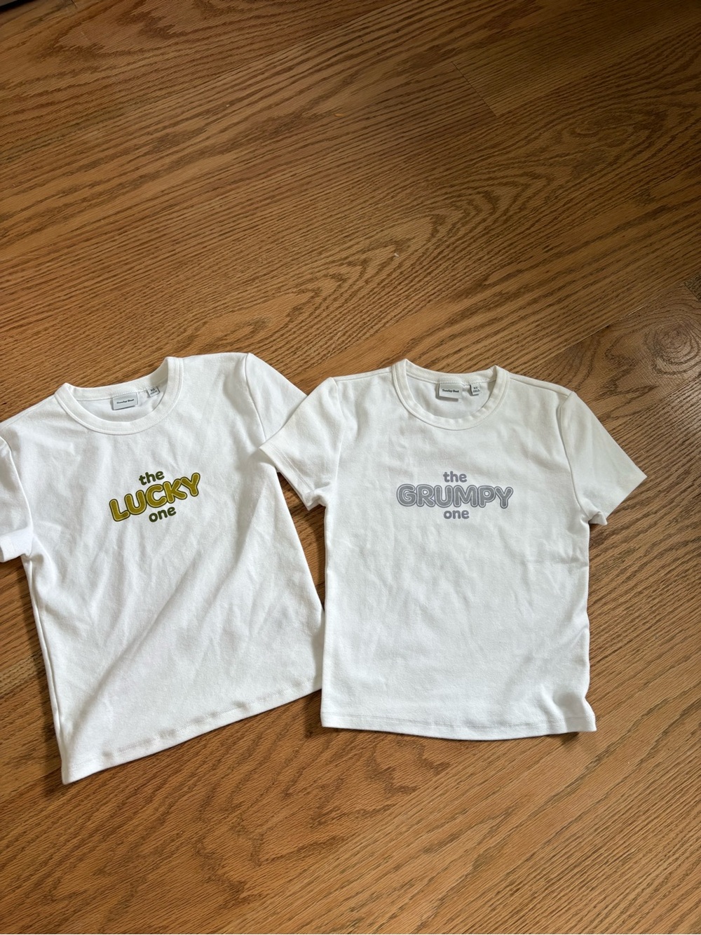 Aritzia t shirt bundle